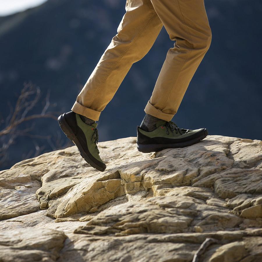 Buty Danner Caprine Low Zamszowe Męskie Czarne Oliwkowe | PL1357IS