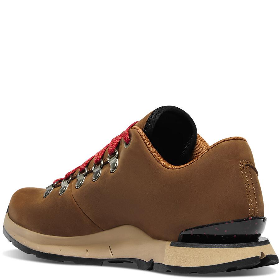 Buty Danner Mountain Overlook Damskie Brązowe | PL1022AP