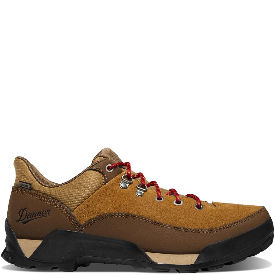 Buty Trekkingowe Danner Panorama Low 4\